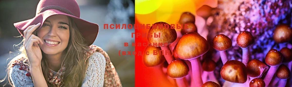 PSILOCYBIN Елабуга